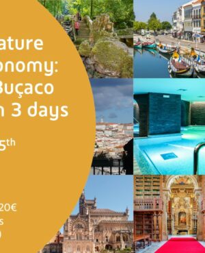 History, Nature and Gastronomy: Coimbra, Buçaco & Aveiro in 3 days
