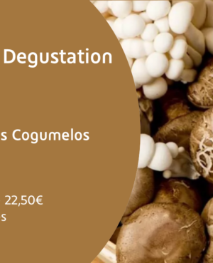 Mushroom Degustation Experience @ Santa Clara dos Cogumelos