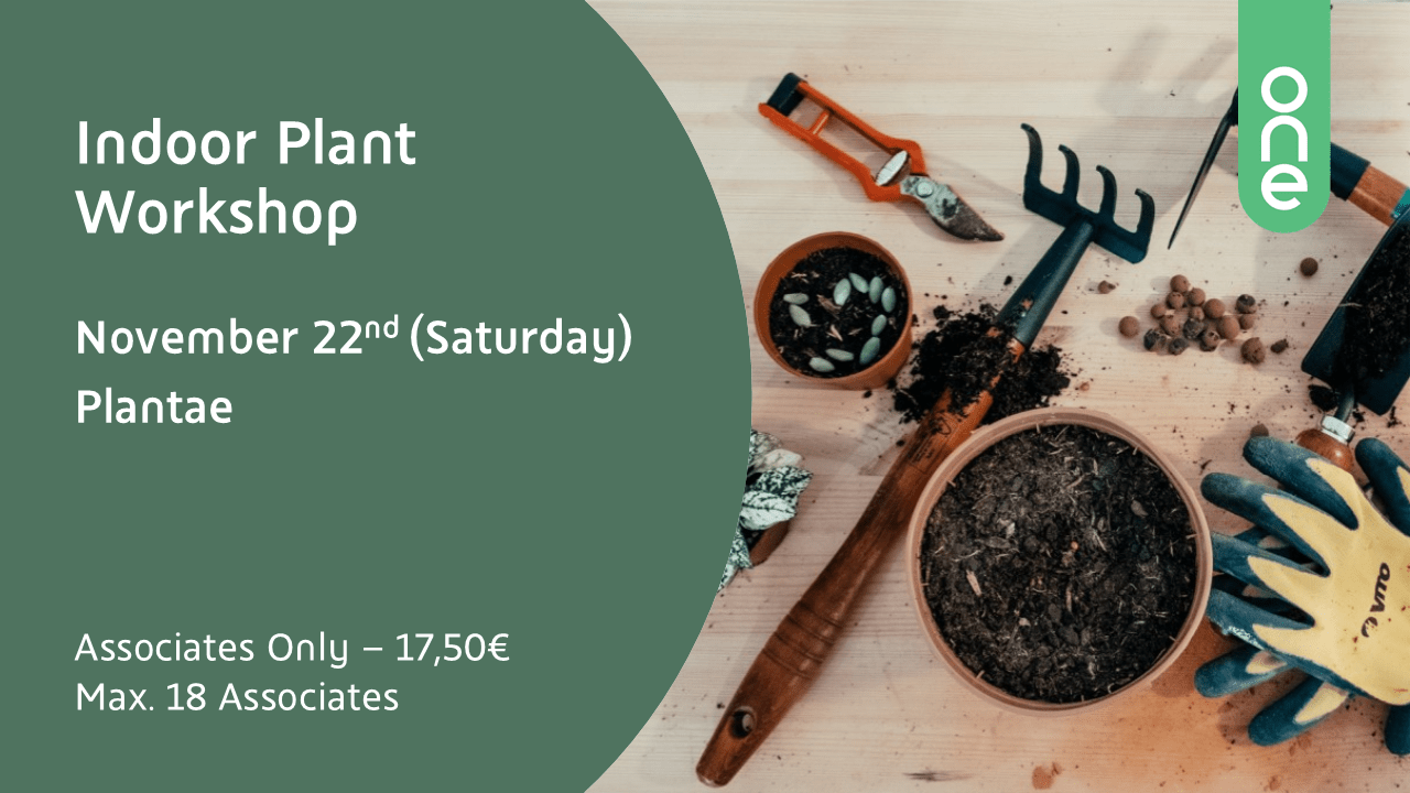 Indoor Plants Banner