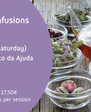 Teas & Infusions Workshop