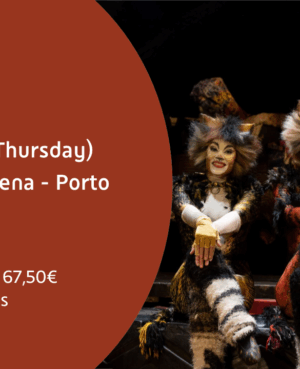 CATS The Musical - Porto