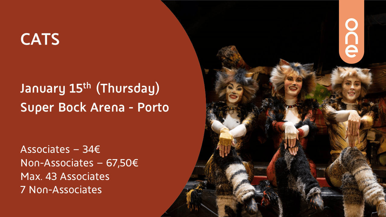Cats PORTO Banner 1