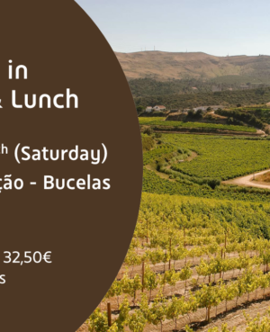 Experience in the Vineyard & Lunch at Quinta do Boicão