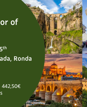 The Splendor of Andalus 